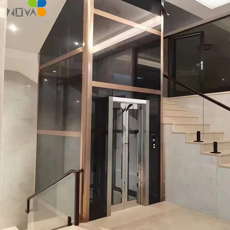 VTEV106 Ascensores Elevadores Wysokiej jakości winda willowa do modernizacji domu