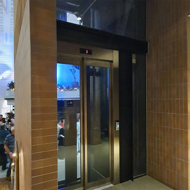 VTEP108 Elevadores Szybkie i płynne windy osobowe dla nieruchomości komercyjnych Szybka obsługa