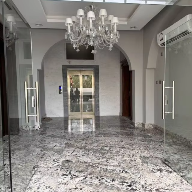 VTEV108 Ascensores Elevadores Bezpieczna i niezawodna winda do willi do montażu w domu rodzinnym