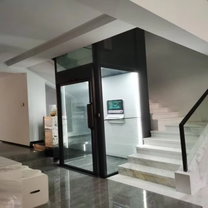 VTEV109 Ascensores Elevadores Stylowa szklana winda do prywatnego domu dwupoziomowego
