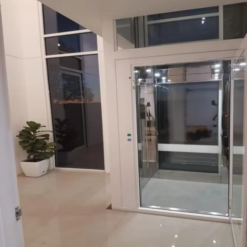 VTEV109 Ascensores Elevadores Stylowa szklana winda do prywatnego domu dwupoziomowego