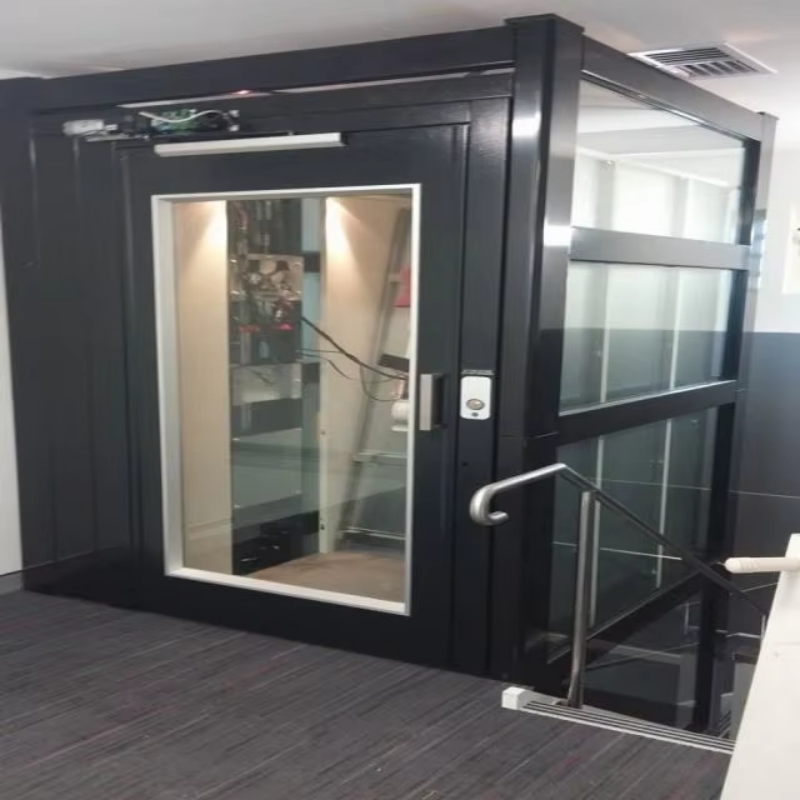 VTEV109 Ascensores Elevadores Stylowa szklana winda do prywatnego domu dwupoziomowego