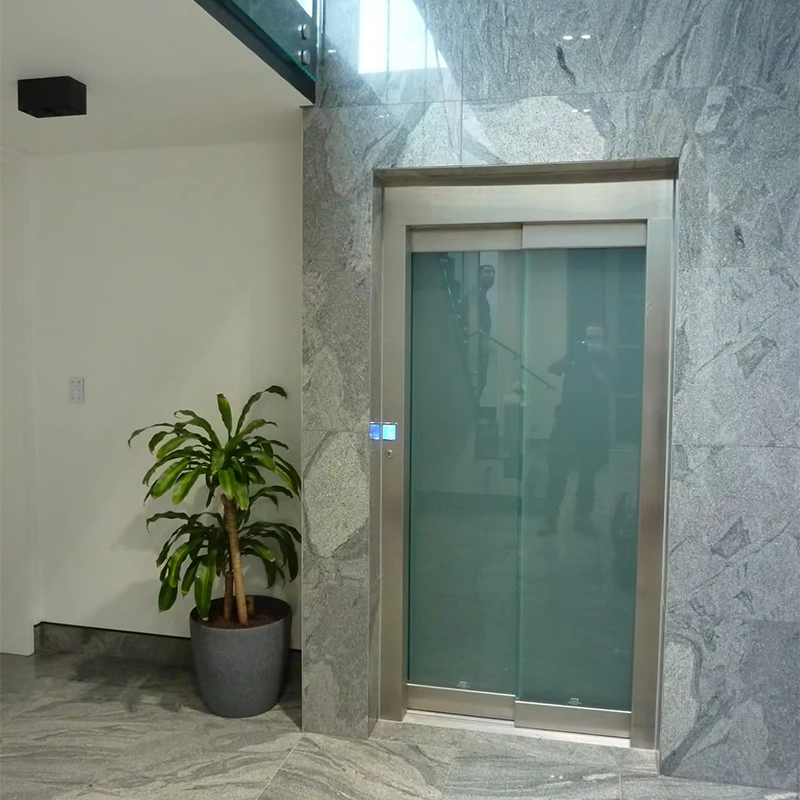 Stylowa winda obserwacyjna VTEO101 Ascensores do luksusowych apartamentów i budynków biurowych