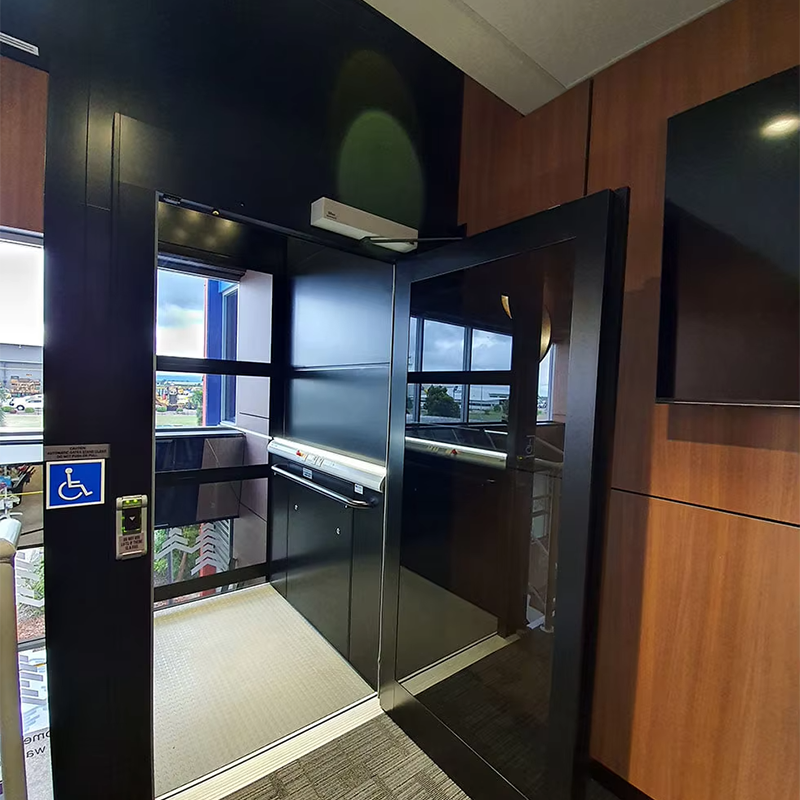 Stylowa winda obserwacyjna VTEO101 Ascensores do luksusowych apartamentów i budynków biurowych