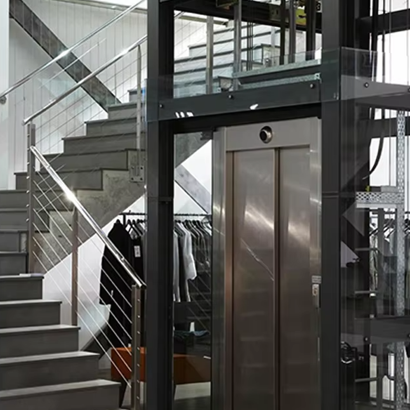 VTEV105 Ascensores Elevadores Dostosowana winda w willi do dekoracji wnętrz