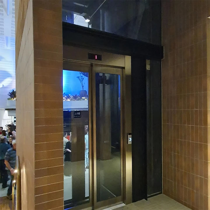VTEP119 Ascensores Windy pasażerskie Bezprzekładniowa klimatyzacja dla budynków wielopiętrowych Certyfikat ISO9001 Stal nierdzewna Łatwa instalacja