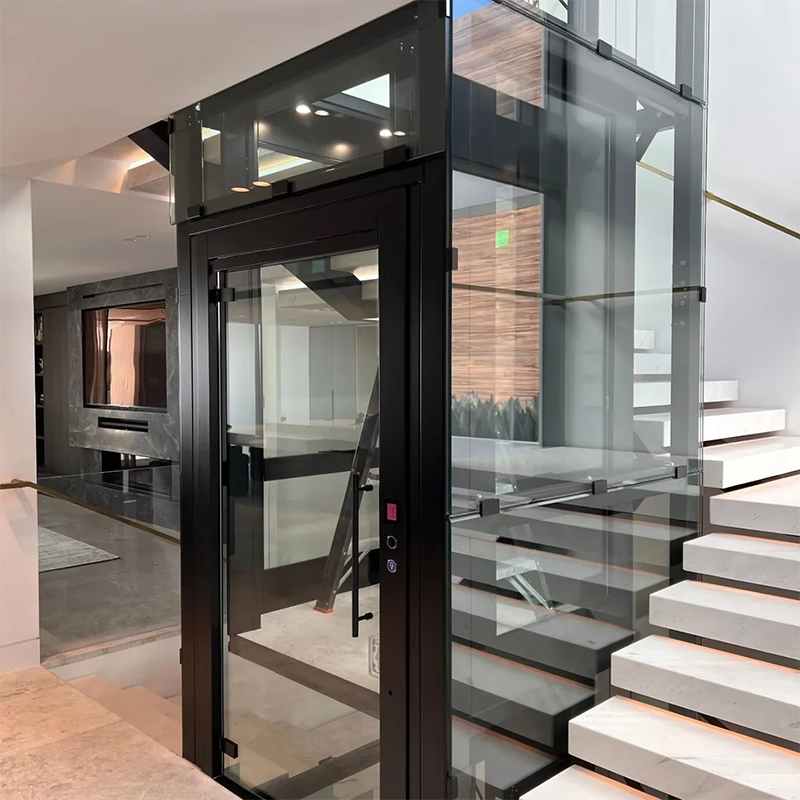 VTEP123 Luksusowa, dostosowana do potrzeb klienta bezprzekładniowa winda pasażerska z napędem AC i panoramiczną konstrukcją