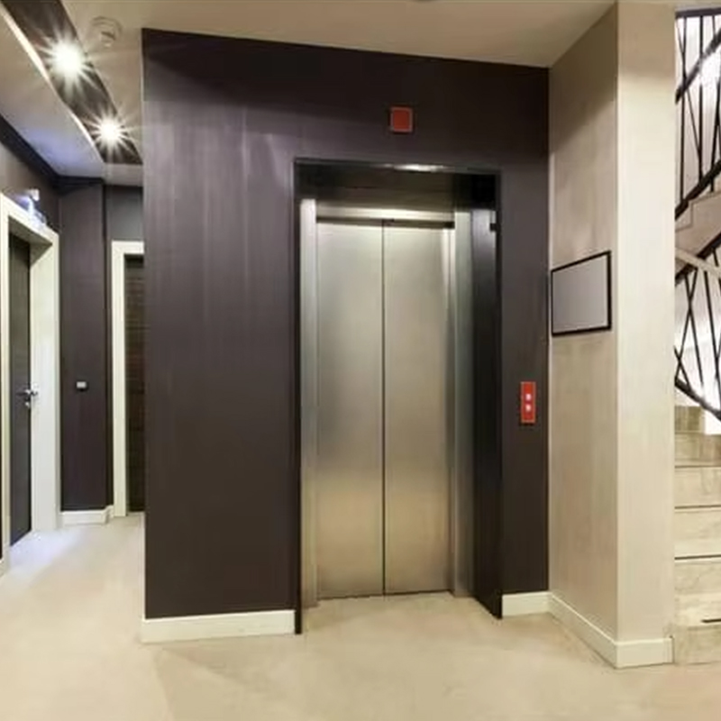 VTEP124 Chiny Marka Producent nowoczesnych wind pasażerskich Wysokowydajna winda Hotelowa Zastosowanie podłogi z PCV Napęd prądu przemiennego ze stali nierdzewnej