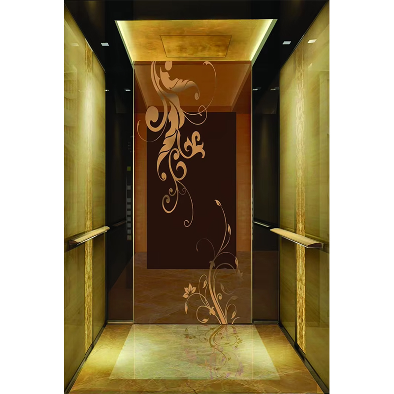 Luksusowa winda hotelowa VTSP133 z nowoczesnym designem ze stali nierdzewnej Premium Dostosowany kolor 1 rok gwarancji