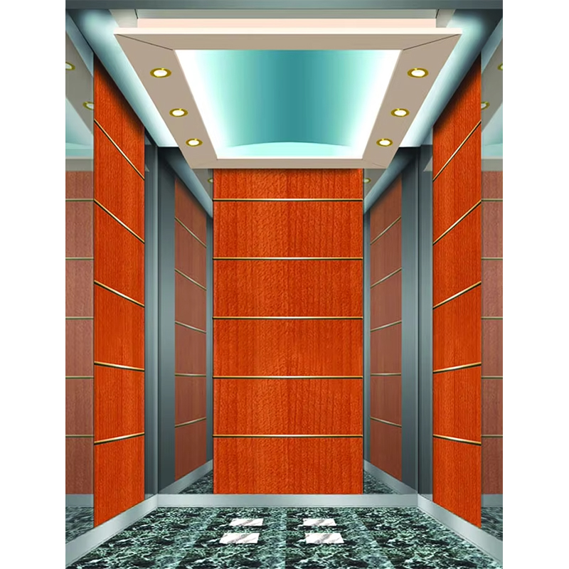 Luksusowa winda hotelowa VTSP133 z nowoczesnym designem ze stali nierdzewnej Premium Dostosowany kolor 1 rok gwarancji